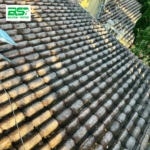 Avant nettoyage toiture